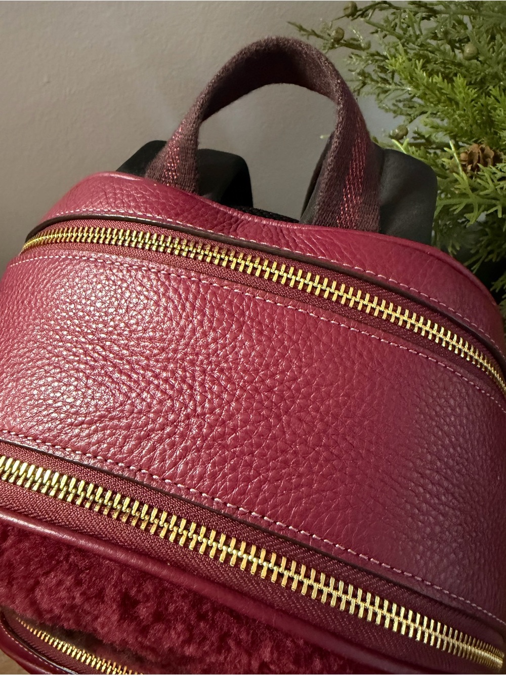 Coach Shearling Court Backpack - Picture 5 of 14